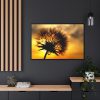 88289-134.jpg Dandelion and Sunset Framed Canvas