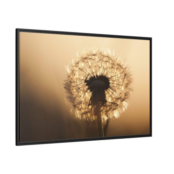 88289-135.jpg Dandelion on Yellow Day Framed Canvas