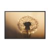 88289-136.jpg Dandelion on Yellow Day Framed Canvas