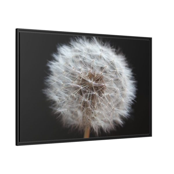 88289-145.jpg Closeup of Dandelion II Framed Canvas