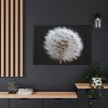 88289-149.jpg Closeup of Dandelion II Framed Canvas