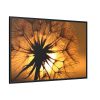 88289-150.jpg Closeup Dandelion Framed Canvas