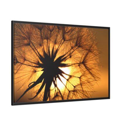 Closeup Dandelion Framed Canvas