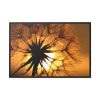 88289-151.jpg Closeup Dandelion Framed Canvas