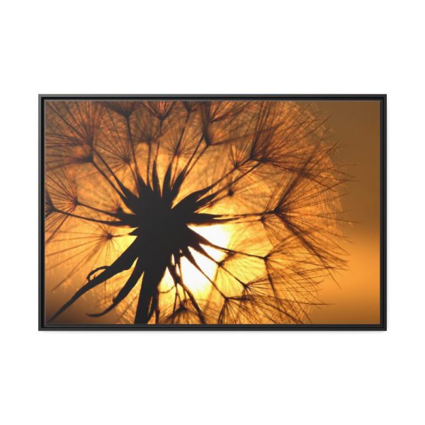 88289-151.jpg Closeup Dandelion Framed Canvas