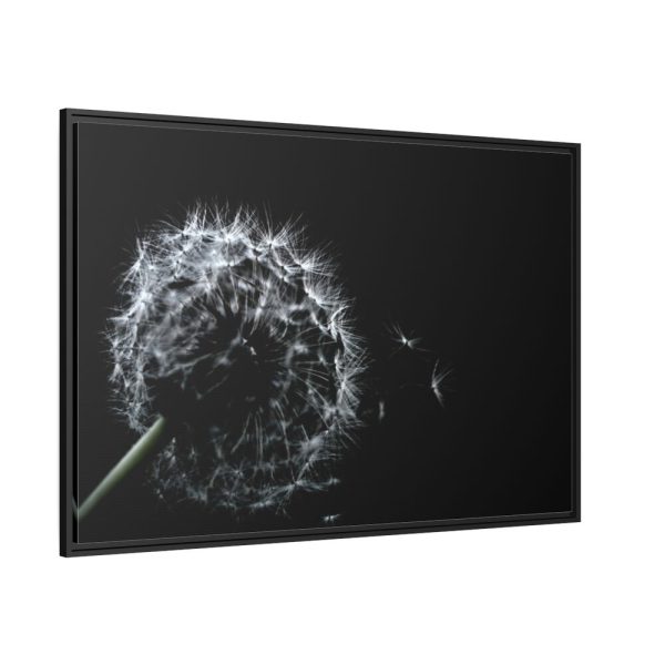 Dandelion Background Framed Canvas