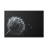 Dandelion Background Framed Canvas