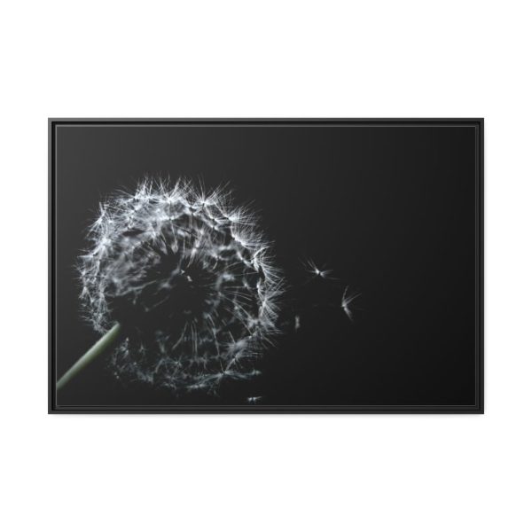 Dandelion Background Framed Canvas