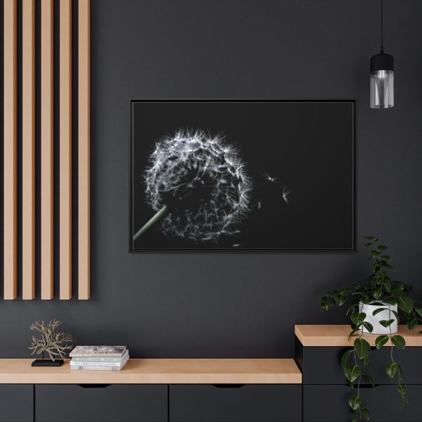 Dandelion Background Framed Canvas