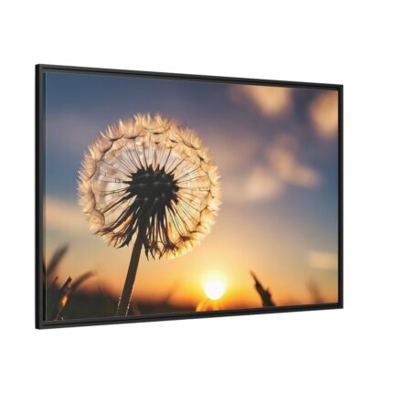 Dandelion Blossom Flower II Framed Canvas