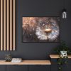 88289-179.jpg Dandelion Seeds Flower Head in Close Up Framed Canvas