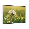 88289-210.jpg Dandelion in Dewey Grassy Area Framed Canvas