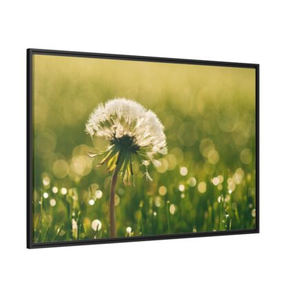 Dandelion in Dewey Grassy Area Framed Canvas