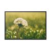 88289-211.jpg Dandelion in Dewey Grassy Area Framed Canvas
