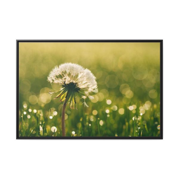 88289-211.jpg Dandelion in Dewey Grassy Area Framed Canvas