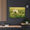 88289-214.jpg Dandelion in Dewey Grassy Area Framed Canvas
