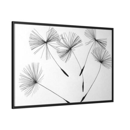 Dandelion Seeds Framed Canvas