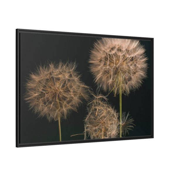 88289-230.jpg Giant Dandelion Framed Canvas