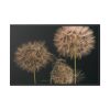 88289-231.jpg Giant Dandelion Framed Canvas