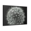 88289-240.jpg Dandelion Light Effect Framed Canvas