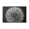 88289-241.jpg Dandelion Light Effect Framed Canvas
