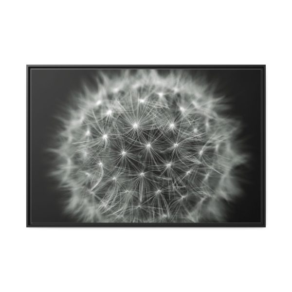 88289-241.jpg Dandelion Light Effect Framed Canvas