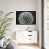 88289-243.jpg Dandelion Light Effect Framed Canvas