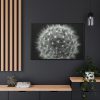 88289-244.jpg Dandelion Light Effect Framed Canvas