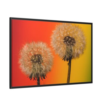 Dandelion on Yellow Background Framed Canvas