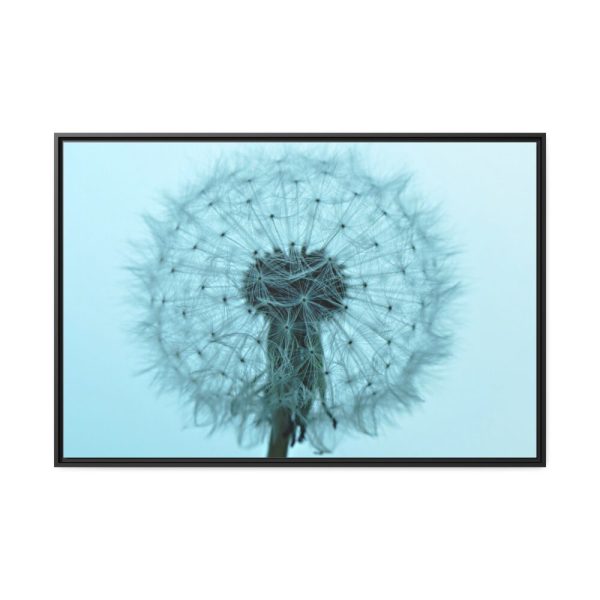 88289-251.jpg Dandelion Puffball Puff Framed Canvas