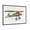 88289-260.jpg Nieuport 28C.1 Vintage Airplane Framed Canvas