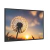 88289-270.jpg Dandelion in Golden Hour Framed Canvas