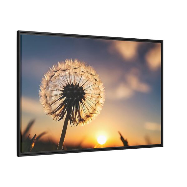 88289-270.jpg Dandelion in Golden Hour Framed Canvas