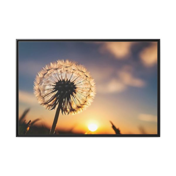 88289-271.jpg Dandelion in Golden Hour Framed Canvas