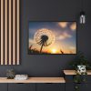 88289-274.jpg Dandelion in Golden Hour Framed Canvas