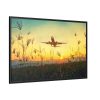 88289-335.jpg Grass, Sky, Nature, Airport Framed Canvas