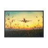 88289-336.jpg Grass, Sky, Nature, Airport Framed Canvas