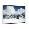 88289-390.jpg Mount McKinley or Denali Framed Canvas