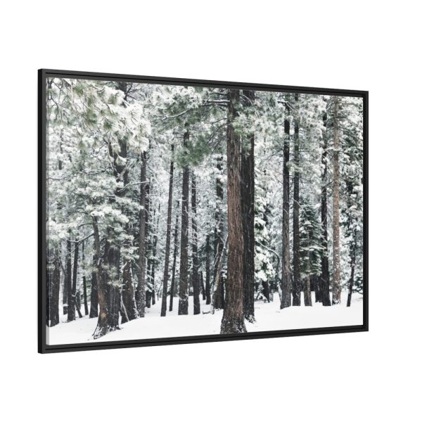 88289-405.jpg Old Mammoth Road Framed Canvas