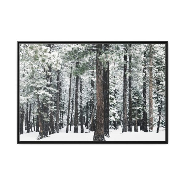 88289-406.jpg Old Mammoth Road Framed Canvas