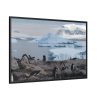 88289-440.jpg Penguin in Alaska Framed Canvas