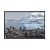 88289-441.jpg Penguin in Alaska Framed Canvas