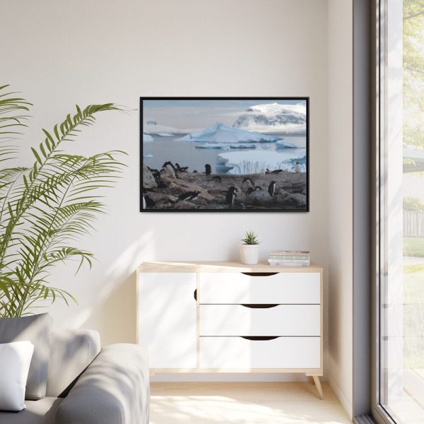 88289-443.jpg Penguin in Alaska Framed Canvas