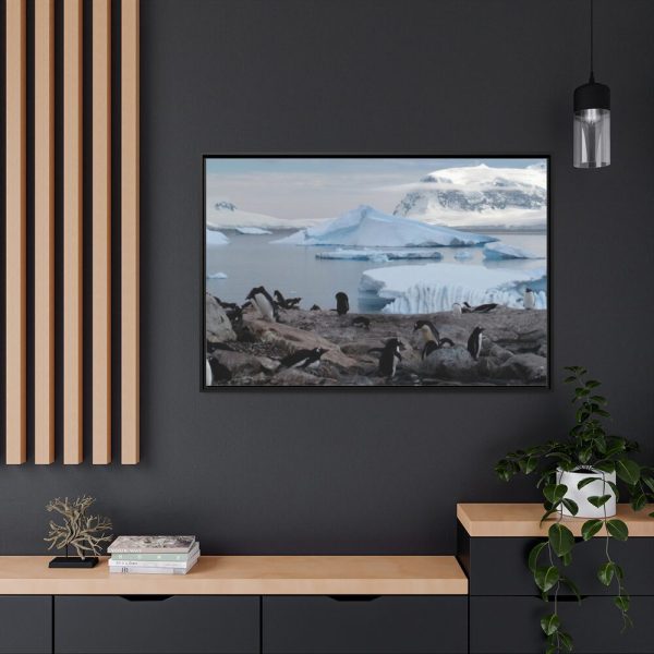88289-444.jpg Penguin in Alaska Framed Canvas