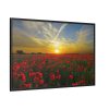 Flower Field in Sunset Framed Canvas