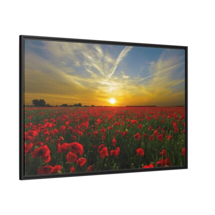 Flower Field in Sunset Framed Canvas