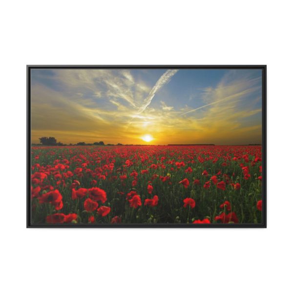 Flower Field in Sunset Framed Canvas