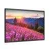 88289-540.jpg Sunlight Afterglow Framed Canvas