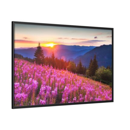 Sunlight Afterglow Framed Canvas