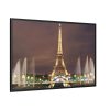 88289-65.jpg Eiffel Tower Lights and Fountains Framed Canvas